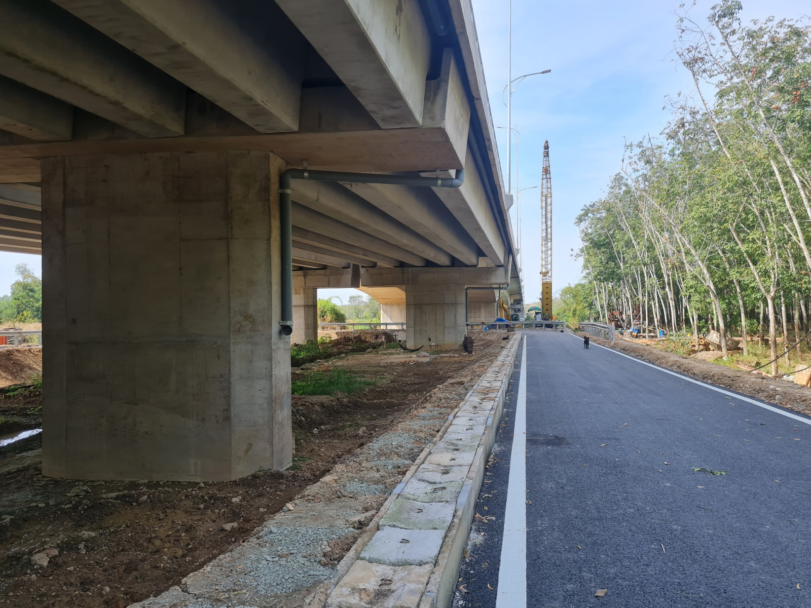 Khánh thành công trình đường và cầu kết nối Bình Dương - Tây Ninh: Kết nối vùng, thúc đẩy phát triển